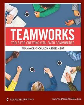 Paperback TeamWorks Church Assessment Book