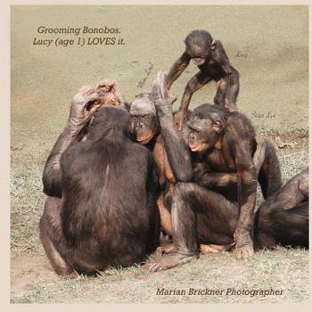 Paperback Grooming bonobos: Lucy (age 1) LOVES it Book