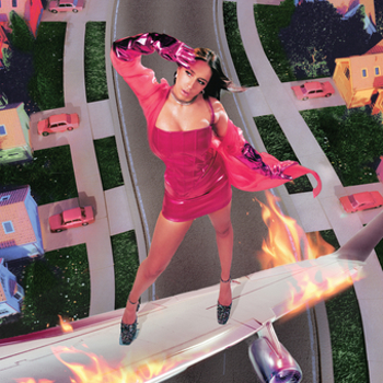 Vinyl I Used To Think I Could Fly Book