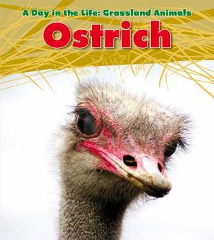 Library Binding Ostrich Book