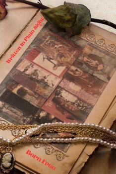 Paperback Written In Plain Sight Book