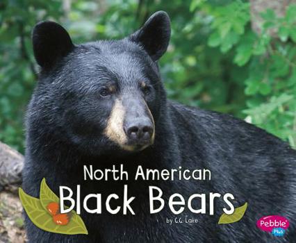 Hardcover North American Black Bears Book
