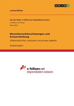 Paperback Menschenrechtsverletzungen und Konzernhaftung: Völkerrechtliche, nationale und private Aspekte [German] Book