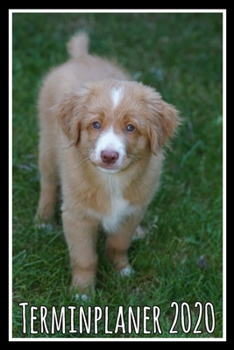 Terminplaner 2020: Jahresplaner von September 2019 bis Dezember 2020 mit Hund - Planer mit 174 Seiten in weiß im Format A5 mit glänzendem Soft Cover. (German Edition)