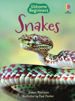 Snakes - Book  of the Usborne Beginners