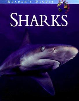 Hardcover Reader's digest explores: sharks Book