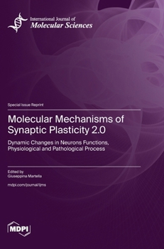 Hardcover Molecular Mechanisms of Synaptic Plasticity 2.0: Dynamic Changes in Neurons Functions, Physiological and Pathological Process Book