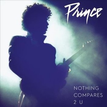 Vinyl Nothing Compares 2 U Book