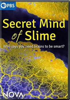 DVD Nova: The Secret Mind of Slime Book