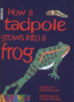 Hardcover How This Tadpole Grows into This Frog (Amaze) (Amaze) Book