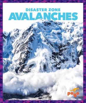 Avalanches - Book  of the Disaster Zone