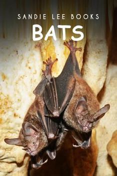 Paperback Bats - Sandie Lee Books Book