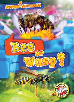 Paperback Bee or Wasp? Book