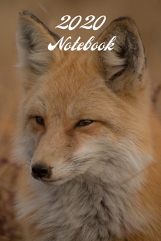 2020 Notebook: A5 (6 x 9 Inches) Notebook Journal Diary. High Quality Hand Writing Journal with 100 Pages