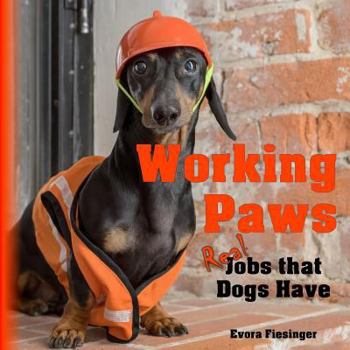Paperback Working Paws: Real Jobs that Dogs Have Book