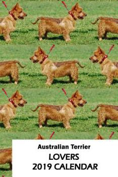 Paperback Australian Terrier Lovers 2019 Calendar Book