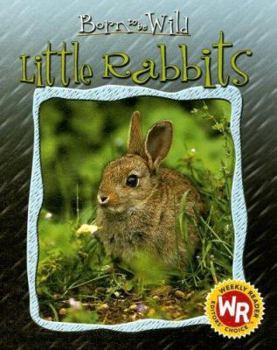 Little Rabbits (Born to Be Wild) - Book  of the Nacidos Para Ser Salvajes / Born to be Wild