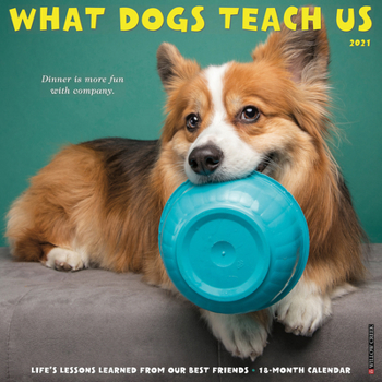 Calendar What Dogs Teach Us 2021 Wall Calendar Book