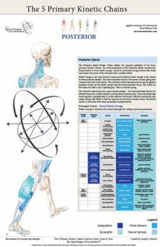 Poster The Five Primary Kinetic Chains Anatomy Poster Set Book