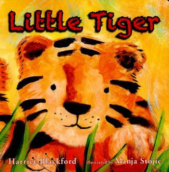 Board book Little Tiger Book