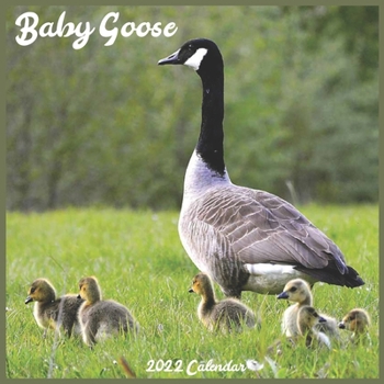Baby Goose Calendar 2022: Official Goslings 2022 Calendar, 16 Month
