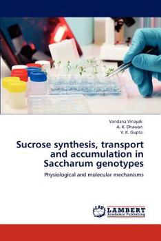 Paperback Sucrose synthesis, transport and accumulation in Saccharum genotypes Book