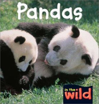 Hardcover Pandas Book