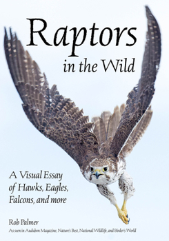 Paperback Raptors in the Wild: A Visual Essay of Hawks, Eagles, Falcons and More Book