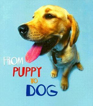 Paperback From Puppy to Dog Book