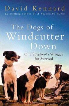 Hardcover The Dogs of Windcutter Down: One Shepherd's Struggle for Survival Book