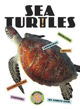 Sea Turtles - Book  of the X-Books: Reptiles