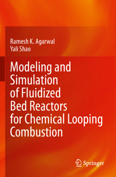 Paperback Modeling and Simulation of Fluidized Bed Reactors for Chemical Looping Combustion Book