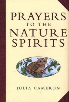 Hardcover Prayers to the Nature Spirits Book