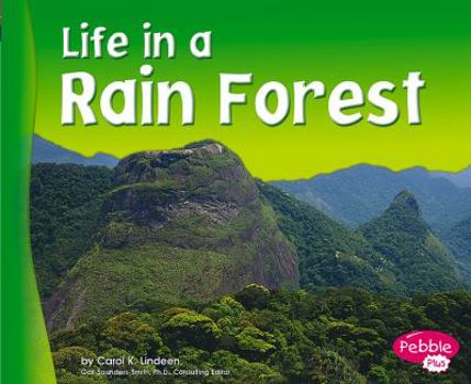 Paperback Life in a Rain Forest Book