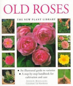 Hardcover Old Roses Book