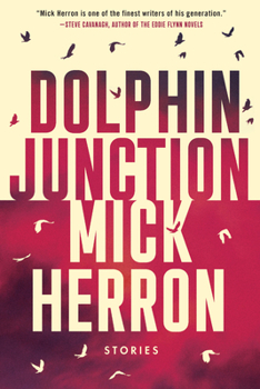Hardcover Dolphin Junction: Stories Book