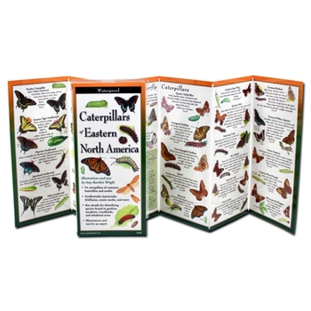 Misc. Caterpillars of Eastern North America Book