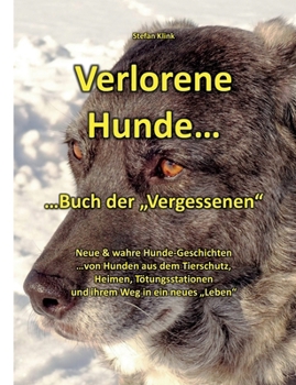Paperback Verlorene Hunde: ...Buch der "Vergessenen" [German] Book