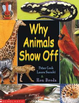 Paperback Why Animals Show Off Book