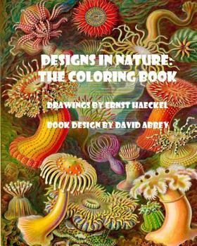 Paperback Designs in Nature: the coloring book