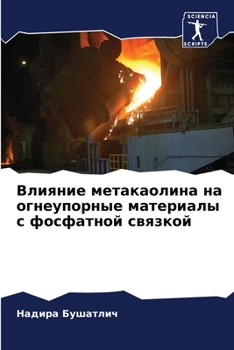 Paperback Влияние метакаолина на о [Russian] Book