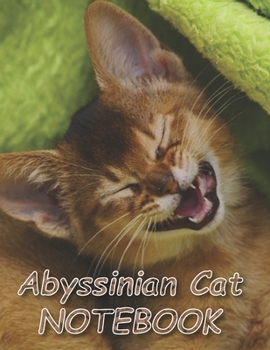 Paperback Abyssinian Cat NOTEBOOK: Notebooks and Journals 110 pages (8.5"x11") Book