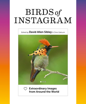 Hardcover Birds of Instagram: Extraordinary Images from Around the World Book