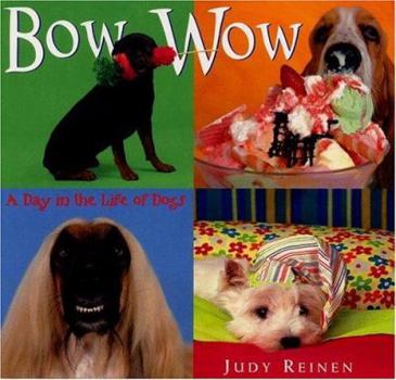 Hardcover Bow Wow: A Day in the Life of Dogs Book