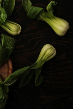 Paperback My Journal: Recipe Journal - 6"x9" - 120 Lined pages - Recipe Recording Notebook - Matte Cover Book