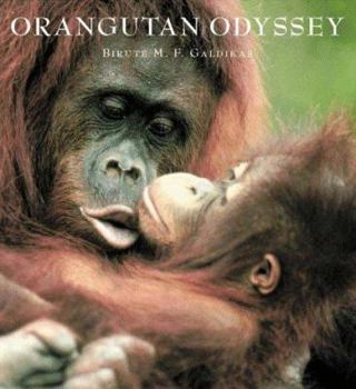 Hardcover Orangutan Odyssey Book