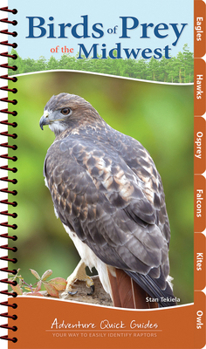 Spiral-bound Birds of Prey of the Midwest: Your Way to Easily Identify Raptors Book