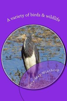 Paperback A variety of birds & wildlife Book