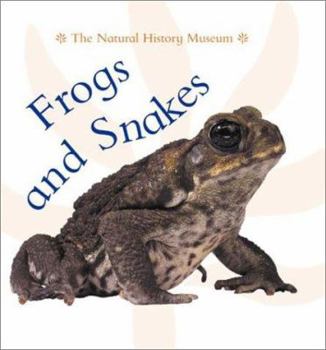Hardcover Frogs and Snakes Book