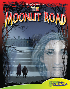 Moonlit Road